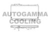 AUTOGAMMA 101451 Radiator, engine cooling